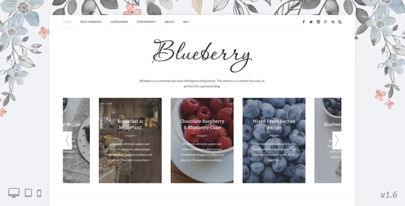 Blueberry – A Responsive WordPress Blog Theme