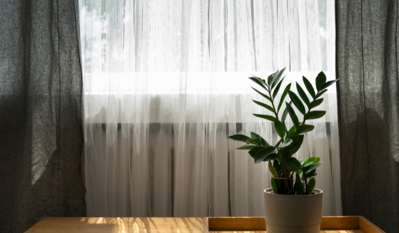 Blackout Curtains in Sharjah